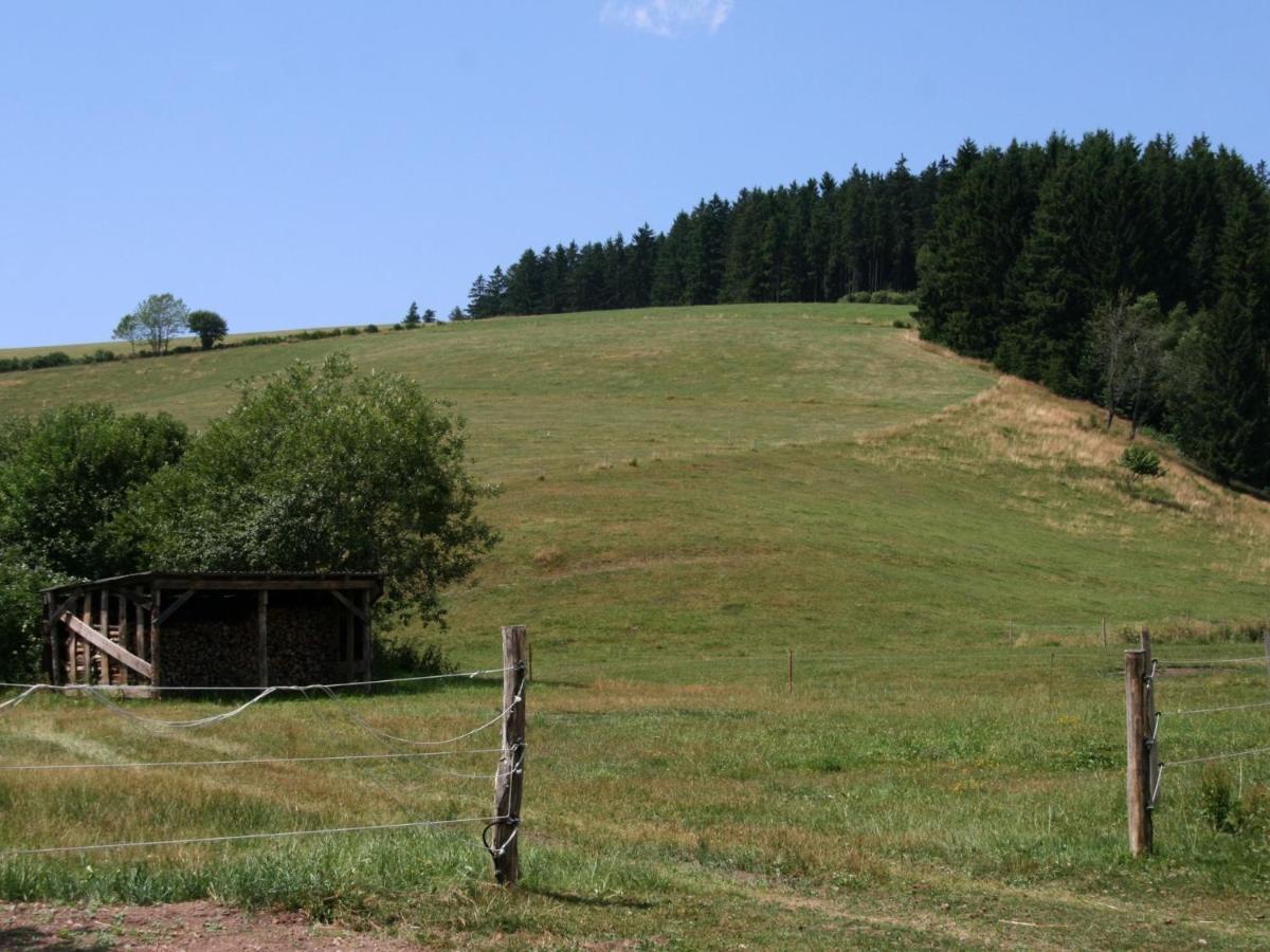 Converted Old Mill In St Georgen Inblack Forest Sankt Georgen im Schwarzwald Exterior photo