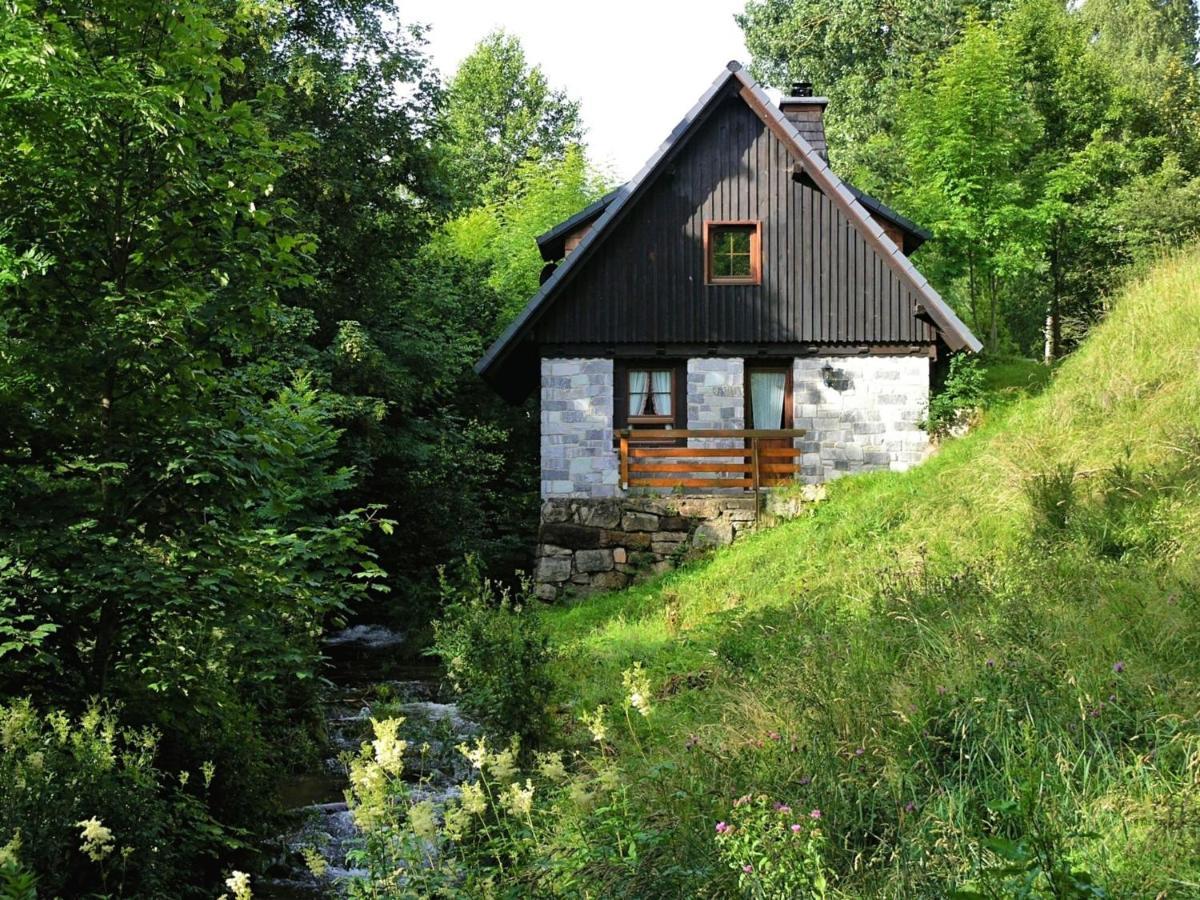 Converted Old Mill In St Georgen Inblack Forest Sankt Georgen im Schwarzwald Exterior photo